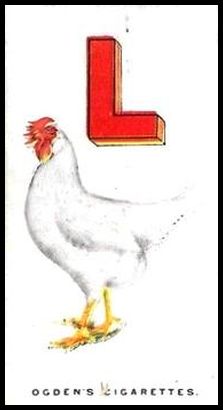 12 L is for Leghorn